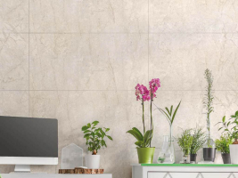 Granite Silver